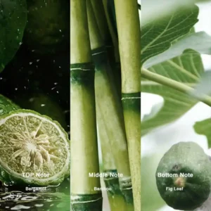 Fragrance notes of Kilian Bamboo Harmony dupe - bergamot, white tea, and green moss