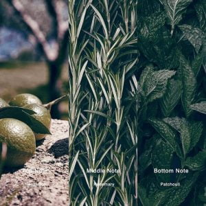 IMIXX No.37 — Eau de Parfum aquatique, bergamote et encens — vue 2