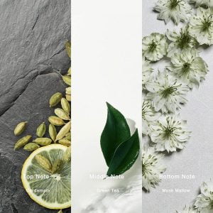 IMIXX No.38 — Eau de Parfum thé vert, agrumes et vétiver — vue 2