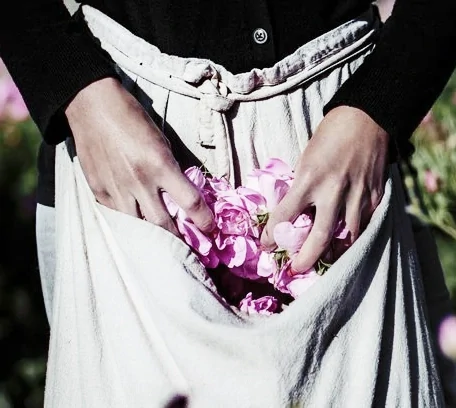 4512be48ecc32646871d4a866805d986 拷贝1