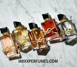 Meilleur Dupe pour YSL Libre : Le Guide Ultime des Alternatives Abordables en 2026 3 ysl women's fragrance