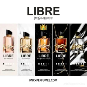 Meilleur Dupe pour YSL Libre : Le Guide Ultime des Alternatives Abordables en 2026 2 ysl women fragrance