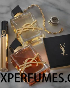 Trouvez le Meilleur parfum Yves Saint Laurent pour toutes les occasions 2 ysl y dupe