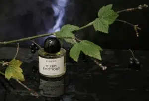 Analyse des coûts de parfumerie : flacon de niche traditionnel versus le dupe au thé noir et cassis par iMixx Perfume
