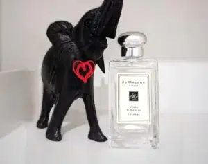 Différence de concentration entre une eau de cologne de luxe britannique et un extrait de parfum haute tenue.