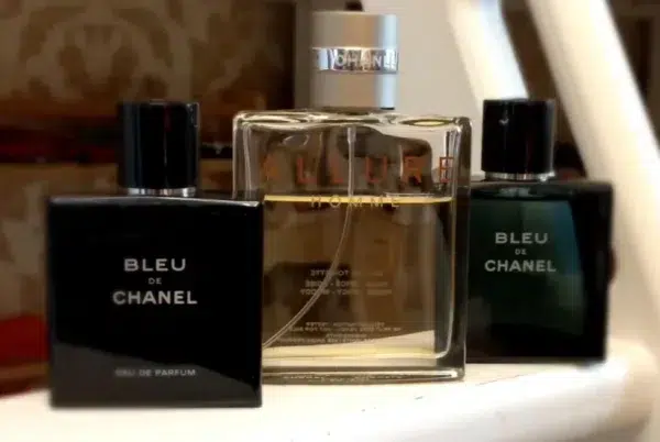 Comparaison des coûts de production entre un parfum boisé de luxe classique et une alternative équivalente de haute qualité formulée en laboratoire.